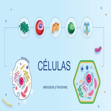 Celulas eucariota y procariota diferencias | PPTX