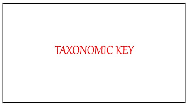 Taxonomic keys and.  Their types.  .pptx
