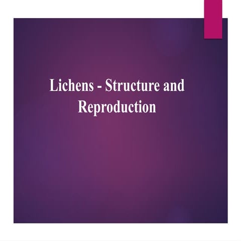 Lichens | PPTX