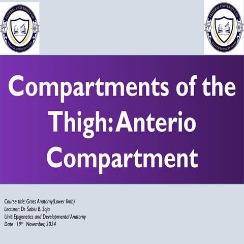 Compartment of the tight explicit explanation