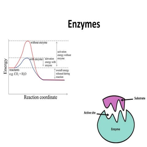 DOC-20241221-WA0127..pdf.................