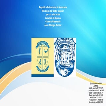 RETICULO ENDOPLASMATICO LISO Y RUGOSO_20240209_010234_0000.PDF
