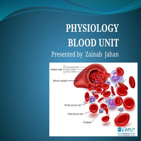 Comprehensive Overview of Blood Physiology and Functions in the Human ...