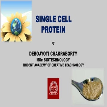 SINGLE CELL PROTEIN