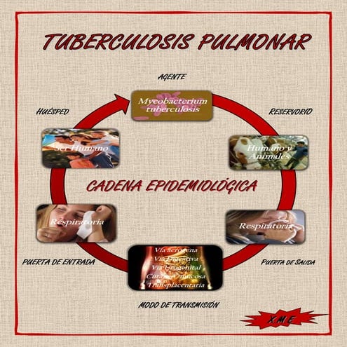 Cadena Epidemiológica TB