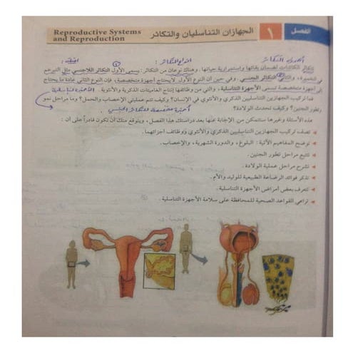 تعليم نقاط-10