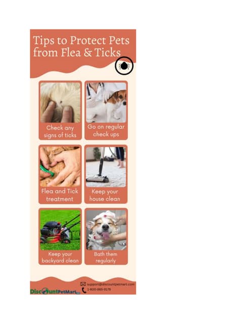 Keep Your Pet Protected from Fleas and Ticks | DOCX