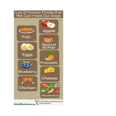 List of Human Foods that We Can Feed Our Dogs | DOCX