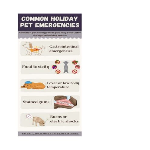 View of How to Be Prepared for Pet Health Emergencies on Holidays | PDF