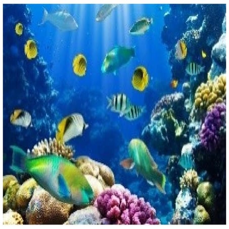 There are so many features in Earth Pictures | DOCX