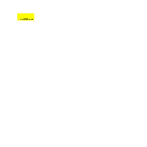 Rapid despatch conditions of carriage | PDF