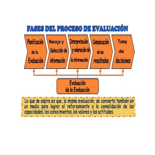 Organizador Grafico-Etapas de la Evaluacion