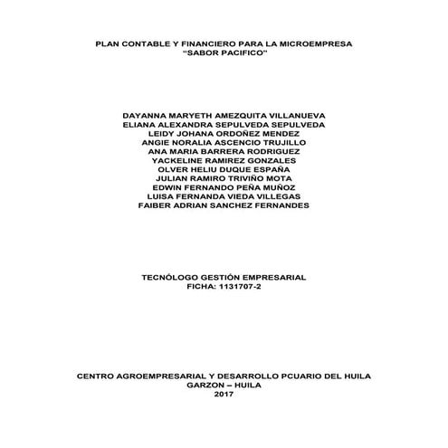 Plan Contable y Financiero Para La Microempresa Sabor Pacifico