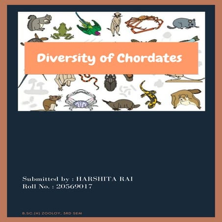 Diversity Of Chordates BSC 2nd year practical file
