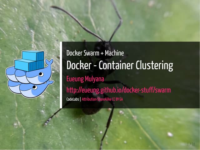 Docker Swarm & Machine