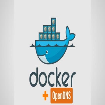 Docker with BGP - OpenDNS