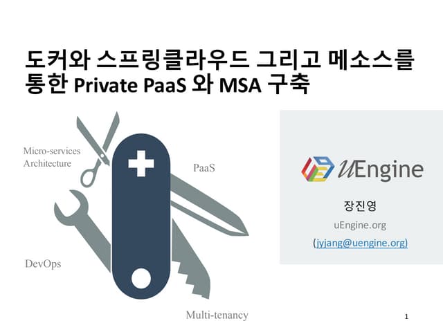 Private PaaS with Docker, spring cloud and mesos 