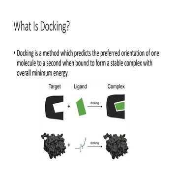  Molecular Docking