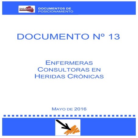 Doc. posicionamiento 13 - enfermeras consultoras