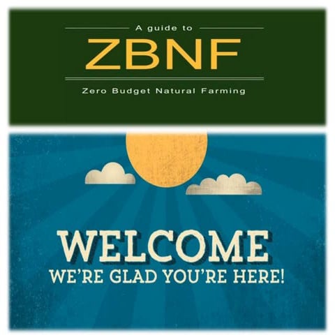 Zero budget natural farming  in Vegetable Crops