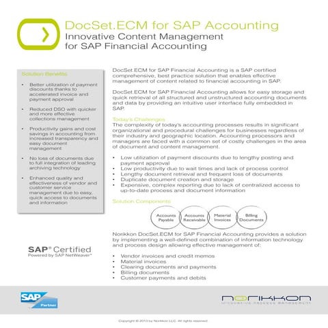 DocSet for SAP Financial Accounting