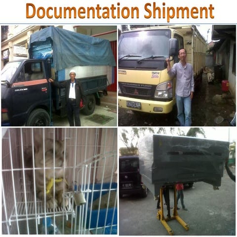 Dangerous Goods Cargo | PDF