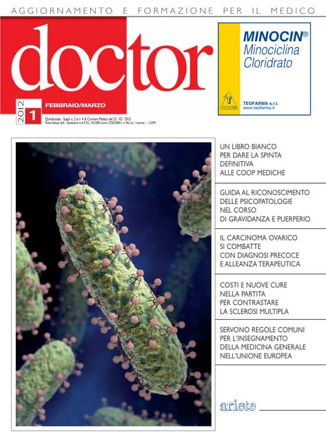 Buon Natale Zorro.Buon Natale Zorro