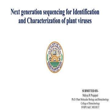 Next generation sequencing for Identification and Characterization of ...
