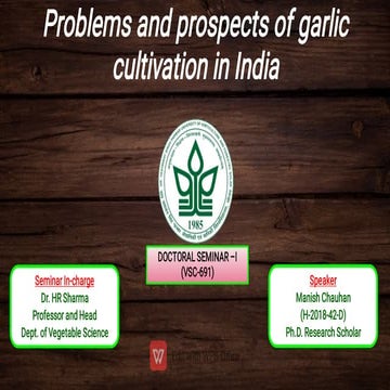 Problems and prospects of garlic cultivation in India