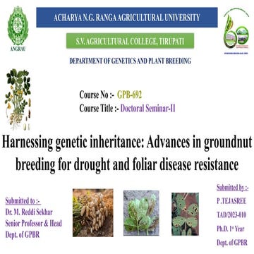Harnessing genetic inheritance: Advances in groundnut breeding for drought an...