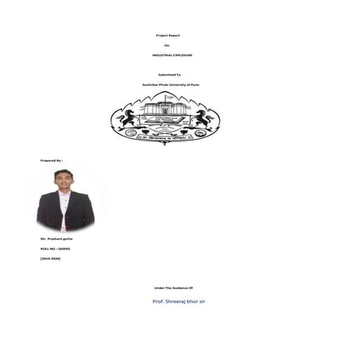 AAVIN internship report | PDF