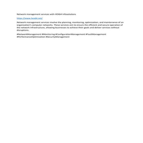 Network management services with HEX64 Infosolutions | DOCX