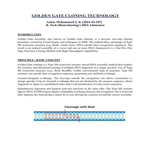 Golden gate cloning assembly technology BTech Biotechnology | PDF