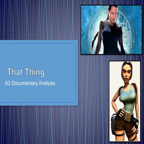 Documentary Analysis