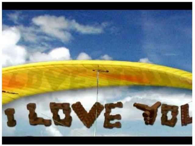 Documentary The Healing Dreamscapes...