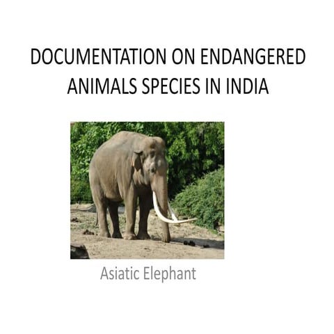 Endangered animals of india | PDF
