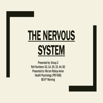 The nervous system