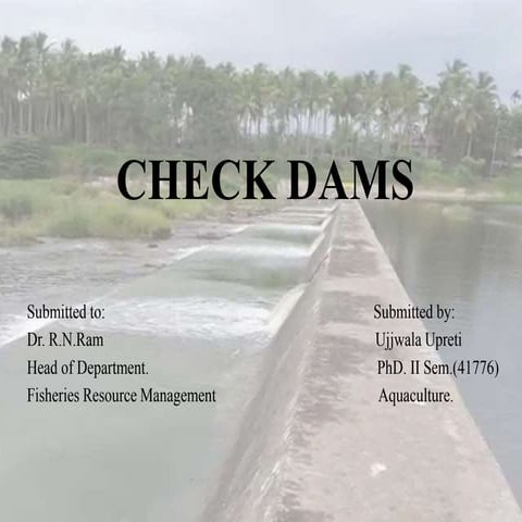 Check dams