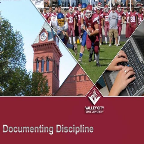 Documenting Discipline
