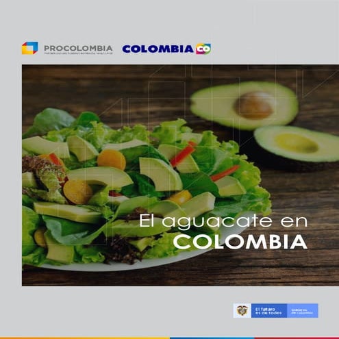 El aguacate en Colombia