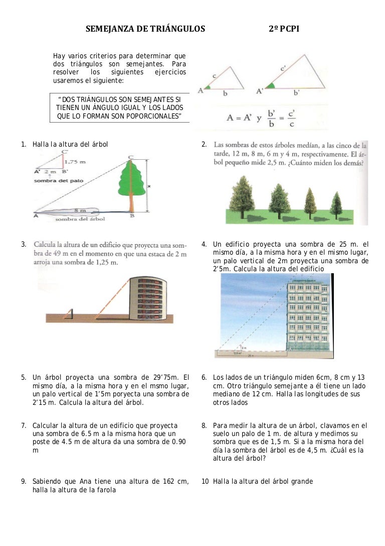 Documento 2 Semejanza De Triangulos