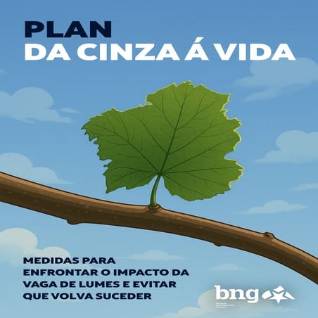 Plan 'Da Cinza á Vida'.  folla de ruta para reconstruír, protexer e transformar Galiza fronte aos incendios