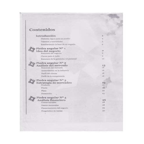 Documento escaneado plan de negocios