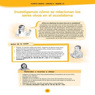 Documentos primaria-sesiones-unidad...