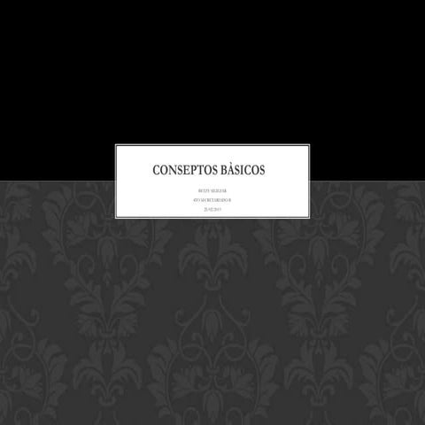 Documentos basico b.s