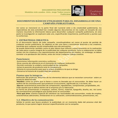 Documentos precampaña   gustavo baez  tr.
