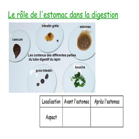 Documents digestion | ODP