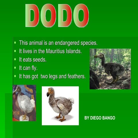 The dodo birds | PPTX