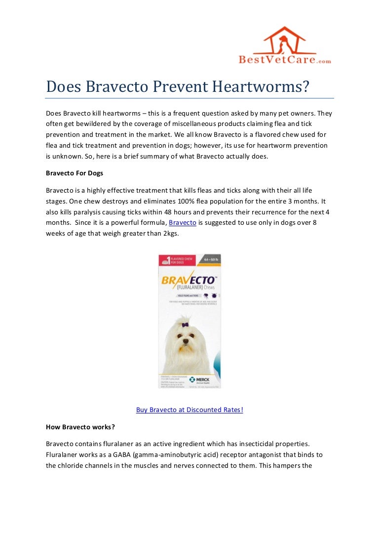 bravecto heartworm