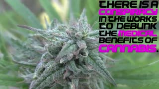 Does Your IQ Go Up or Down With Cannabis Use?